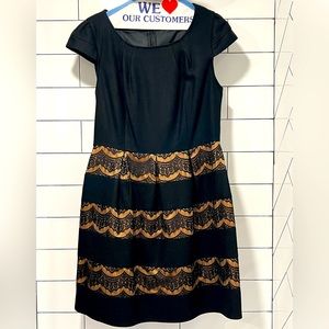 Darling knit and lace dress - size Large